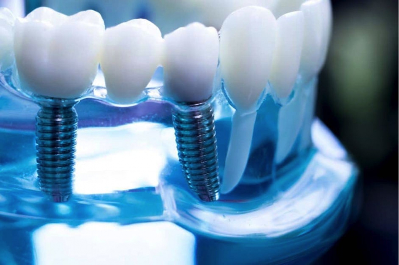 &Epsilon;&mu;&phi;&upsilon;&tau;&epsilon;ύ&mu;&alpha;&tau;&alpha; &delta;&omicron;&nu;&tau;&iota;ώ&nu; &amp; &delta;&iota;ά&rho;&kappa;&epsilon;&iota;&alpha; &zeta;&omega;ή&sigmaf;